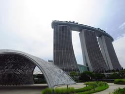 tall building with trees