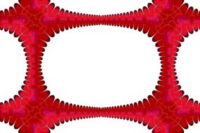 red oval frame on white