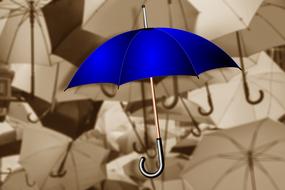 Umbrella Color Atmosphere