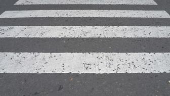 Black And White Zebra Cross