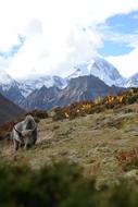 Nepal Himalayas