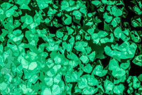 texture background abstract green clover