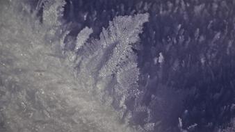 Winter Snow Crystal