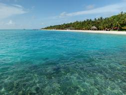 Ocean Sea Water