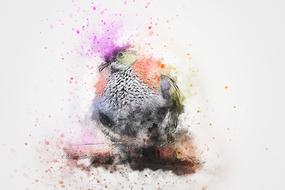 abstract colorful bird animal art