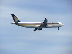 Singapore Airlines Flight Aero