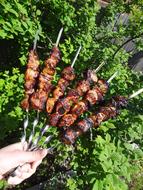 Shish Kebab Shashlik