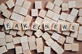 Fake News Media