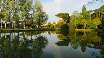 fresh water with green trees