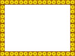 flowers yellow frame border