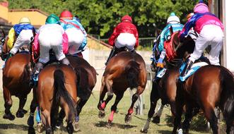 Horse Racing Jockey