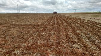 Agriculture Planting