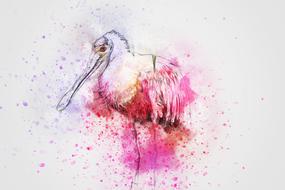drawing of pink abstract pelican bird