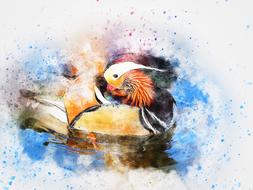 bird duck color animal art