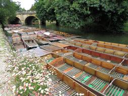 Punting Punt Oxford