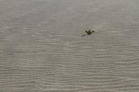Lonely Sand Beach view