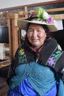 Weaver Person Typical Andean