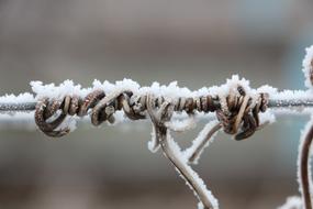 Ice Age Frost Cold