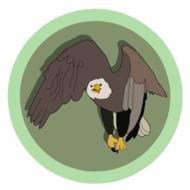 bald eagle in green round frame drawing