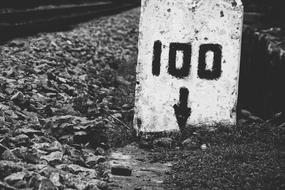 Milestone 100 Rail
