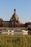 Dresden Elbe Grass