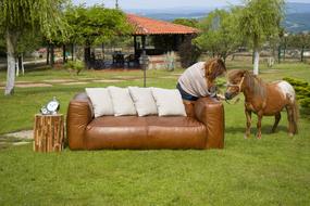 sofa, woman and pony