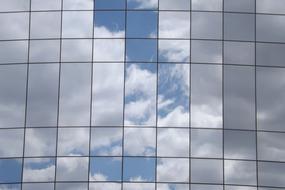 Brasilia Reflection
