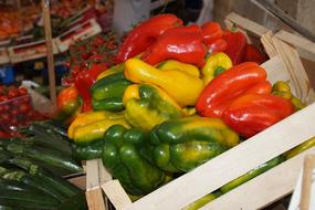 colored peppers in a box