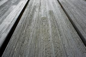 Wood Grain, texture of weathered board