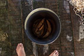 Fish Bucket
