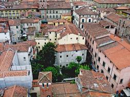 Italy Travel Coach