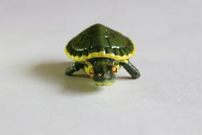 Turtle Crafts