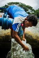 Source Water