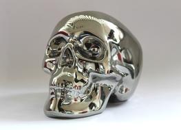 Skull And Crossbones Silver Metal
