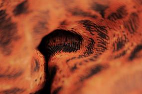 Abstract Light Texture structure
