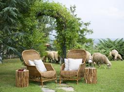 Chair and Sheep Farm