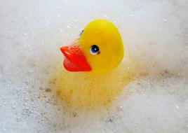Swim Duck Bath toy