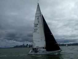 Sailing boat Alcatraz