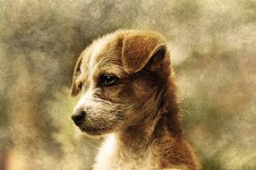 Dog Animal Art drawing