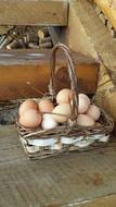 Eggs In One Basket