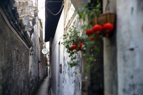 Alley Lantern The Ancient