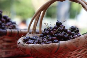 ripe berries in a basket