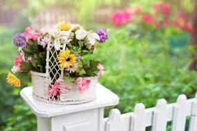 Flower Basket Flowers Blooms
