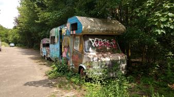 Wild Worn Overgrown