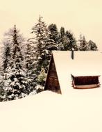 Log Cabin Cottage