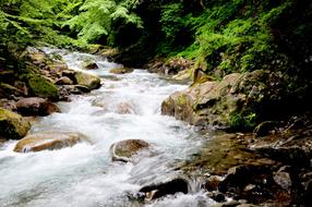 Water River Valley