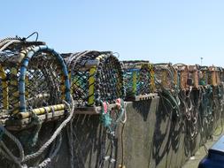 Fish Traps Sea