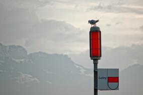 gull perched Red Signal lamp in view of mountains