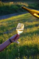Glass Wine White