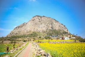 Jeju Island Sanbangsan Rape